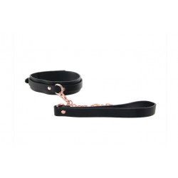 Black collar with leash